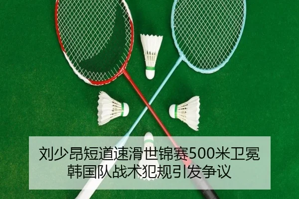 liu-shao-ang-duan-dao-su-hua-shi-jin-sai-mi-wei-mian-han-guo-dui-zhan-shu-fan-gui-yin-fa-zheng-yi-3-130.jpg
