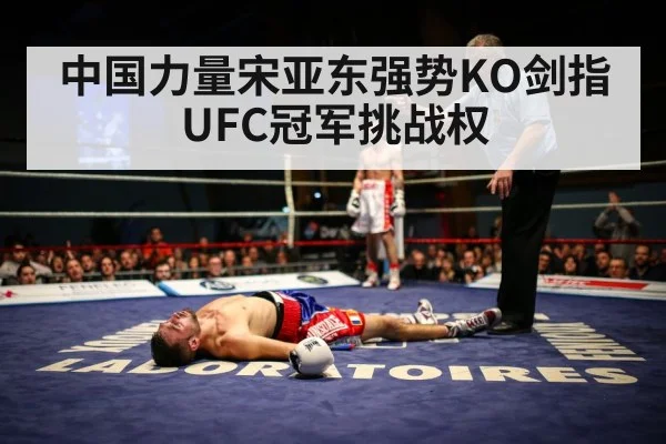 中国力量宋亚东强势KO剑指UFC冠军挑战权